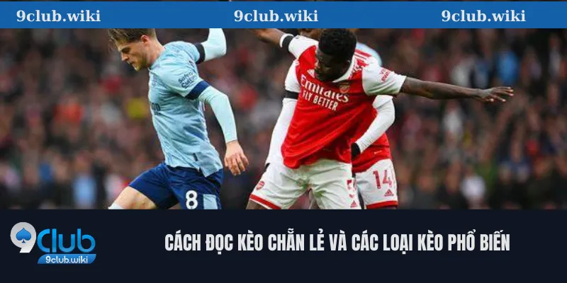 Cách đọc kèo chẵn lẻ và các loại kèo phổ biến