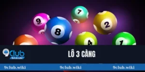 Lô 3 càng