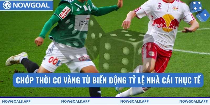 Chớp thời cơ vàng từ biến động tỷ lệ nhà cái thực tế