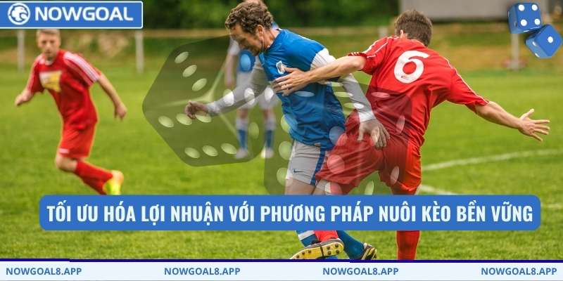 Tối ưu hóa lợi nhuận với phương pháp nuôi kèo bền vững